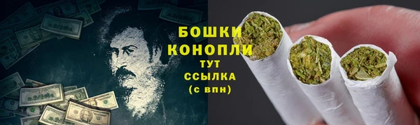 шишки Аркадак