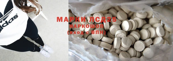 шишки Баксан