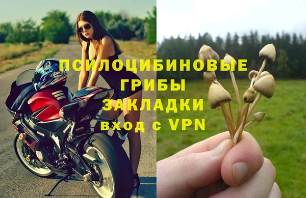 хмурый Арсеньев