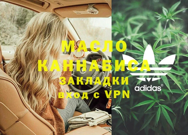 хмурый Арсеньев