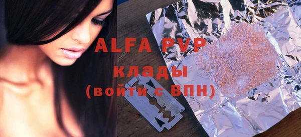 шишки Аркадак