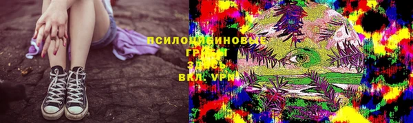 хмурый Арсеньев