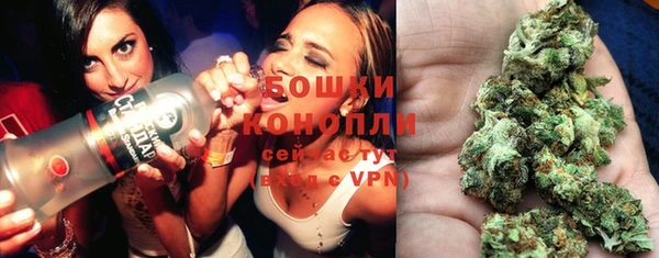 шишки Баксан