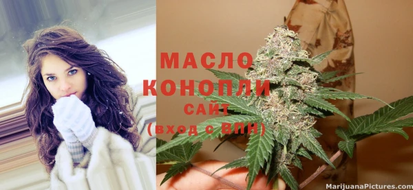 хмурый Арсеньев