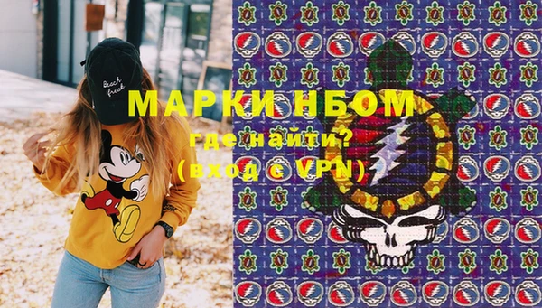 шишки Аркадак