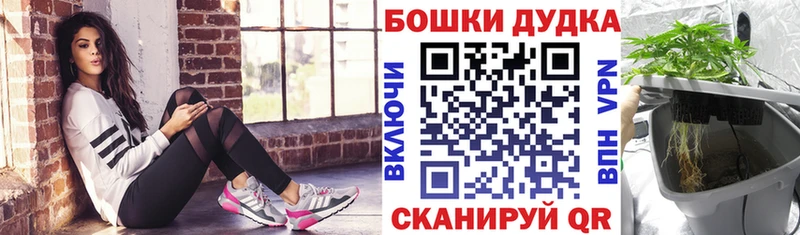 Бошки Шишки тримм закладки Баксан